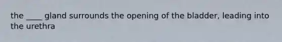 the ____ gland surrounds the opening of the bladder, leading into the urethra