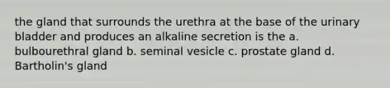 the gland that surrounds the urethra at the base of the urinary bladder and produces an alkaline secretion is the a. bulbourethral gland b. seminal vesicle c. prostate gland d. Bartholin's gland