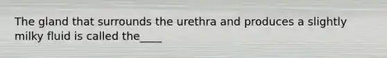 The gland that surrounds the urethra and produces a slightly milky fluid is called the____