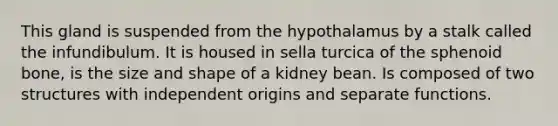 This gland is suspended from the hypothalamus by a stalk called the infundibulum. It is housed in sella turcica of the sphenoid bone, is the size and shape of a kidney bean. Is composed of two structures with independent origins and separate functions.