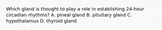Which gland is thought to play a role in establishing 24-hour circadian rhythms? A. pineal gland B. pituitary gland C. hypothalamus D. thyroid gland
