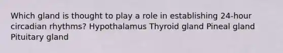 Which gland is thought to play a role in establishing 24-hour circadian rhythms? Hypothalamus Thyroid gland Pineal gland Pituitary gland