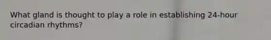 What gland is thought to play a role in establishing 24-hour circadian rhythms?