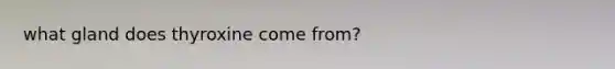 what gland does thyroxine come from?