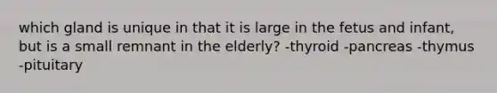 which gland is unique in that it is large in the fetus and infant, but is a small remnant in the elderly? -thyroid -pancreas -thymus -pituitary