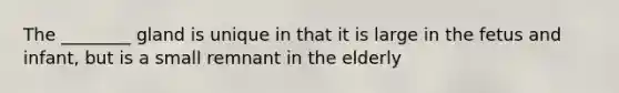 The ________ gland is unique in that it is large in the fetus and infant, but is a small remnant in the elderly