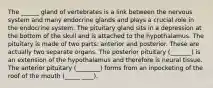 The ______ gland of vertebrates is a link between the nervous system and many endocrine glands and plays a crucial role in the endocrine system. The pituitary gland sits in a depression at the bottom of the skull and is attached to the hypothalamus. The pituitary is made of two parts: anterior and posterior. These are actually two separate organs. The posterior pituitary (_______) is an extension of the hypothalamus and therefore is neural tissue. The anterior pituitary (________) forms from an inpocketing of the roof of the mouth (_____ ____).