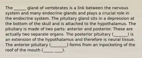 The ______ gland of vertebrates is a link between the nervous system and many endocrine glands and plays a crucial role in the endocrine system. The pituitary gland sits in a depression at the bottom of the skull and is attached to the hypothalamus. The pituitary is made of two parts: anterior and posterior. These are actually two separate organs. The posterior pituitary (_______) is an extension of the hypothalamus and therefore is neural tissue. The anterior pituitary (________) forms from an inpocketing of the roof of the mouth (_____ ____).