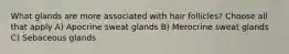 What glands are more associated with hair follicles? Choose all that apply A) Apocrine sweat glands B) Merocrine sweat glands C) Sebaceous glands