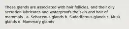 These glands are associated with hair follicles, and their oily secretion lubricates and waterproofs the skin and hair of mammals . a. Sebaceous glands b. Sudoriferous glands c. Musk glands d. Mammary glands