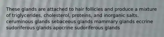 These glands are attached to hair follicles and produce a mixture of triglycerides, cholesterol, proteins, and inorganic salts. ceruminous glands sebaceous glands mammary glands eccrine sudoriferous glands apocrine sudoriferous glands