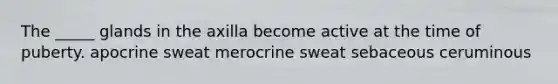 The _____ glands in the axilla become active at the time of puberty. apocrine sweat merocrine sweat sebaceous ceruminous