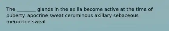 The ________ glands in the axilla become active at the time of puberty. apocrine sweat ceruminous axillary sebaceous merocrine sweat