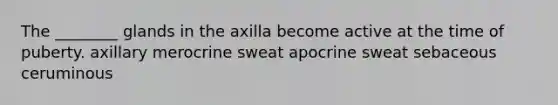 The ________ glands in the axilla become active at the time of puberty. axillary merocrine sweat apocrine sweat sebaceous ceruminous