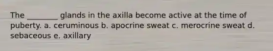 The ________ glands in the axilla become active at the time of puberty. a. ceruminous b. apocrine sweat c. merocrine sweat d. sebaceous e. axillary