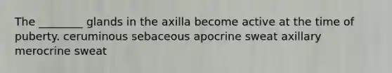 The ________ glands in the axilla become active at the time of puberty. ceruminous sebaceous apocrine sweat axillary merocrine sweat