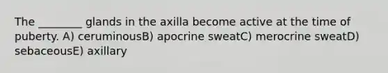 The ________ glands in the axilla become active at the time of puberty. A) ceruminousB) apocrine sweatC) merocrine sweatD) sebaceousE) axillary