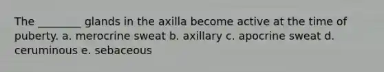 The ________ glands in the axilla become active at the time of puberty. a. merocrine sweat b. axillary c. apocrine sweat d. ceruminous e. sebaceous