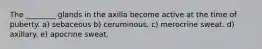 The ________ glands in the axilla become active at the time of puberty. a) sebaceous b) ceruminous. c) merocrine sweat. d) axillary. e) apocrine sweat.