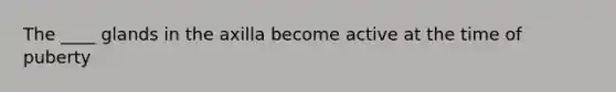 The ____ glands in the axilla become active at the time of puberty