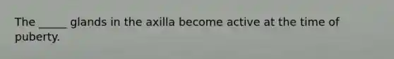The _____ glands in the axilla become active at the time of puberty.