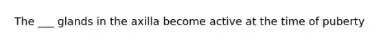 The ___ glands in the axilla become active at the time of puberty