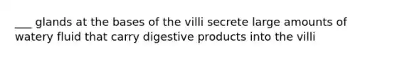 ___ glands at the bases of the villi secrete large amounts of watery fluid that carry digestive products into the villi