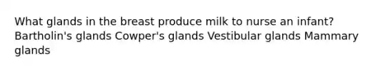 What glands in the breast produce milk to nurse an infant? Bartholin's glands Cowper's glands Vestibular glands Mammary glands