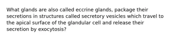 What glands are also called eccrine glands, package their secretions in structures called secretory vesicles which travel to the apical surface of the glandular cell and release their secretion by exocytosis?