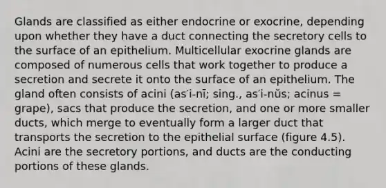 Glands are classified as either endocrine or exocrine, depending upon whether they have a duct connecting the secretory cells to the surface of an epithelium. Multicellular exocrine glands are composed of numerous cells that work together to produce a secretion and secrete it onto the surface of an epithelium. The gland often consists of acini (as′i-nī; sing., as′i-nŭs; acinus = grape), sacs that produce the secretion, and one or more smaller ducts, which merge to eventually form a larger duct that transports the secretion to the epithelial surface (figure 4.5). Acini are the secretory portions, and ducts are the conducting portions of these glands.