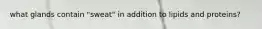 what glands contain "sweat" in addition to lipids and proteins?