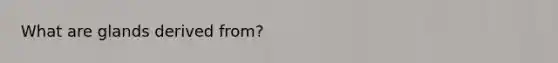 What are glands derived from?