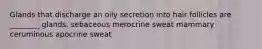 Glands that discharge an oily secretion into hair follicles are ________ glands. sebaceous merocrine sweat mammary ceruminous apocrine sweat