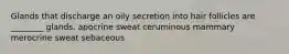 Glands that discharge an oily secretion into hair follicles are ________ glands. apocrine sweat ceruminous mammary merocrine sweat sebaceous