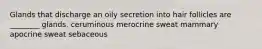 Glands that discharge an oily secretion into hair follicles are ________ glands. ceruminous merocrine sweat mammary apocrine sweat sebaceous