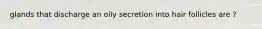 glands that discharge an oily secretion into hair follicles are ?