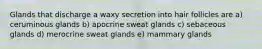 Glands that discharge a waxy secretion into hair follicles are a) ceruminous glands b) apocrine sweat glands c) sebaceous glands d) merocrine sweat glands e) mammary glands