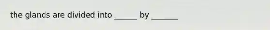 the glands are divided into ______ by _______