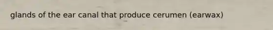 glands of the ear canal that produce cerumen (earwax)