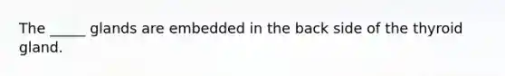 The _____ glands are embedded in the back side of the thyroid gland.