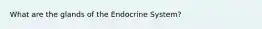 What are the glands of the Endocrine System?