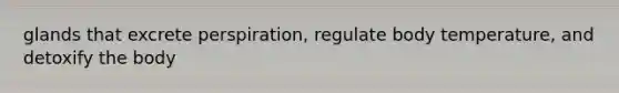 glands that excrete perspiration, regulate body temperature, and detoxify the body
