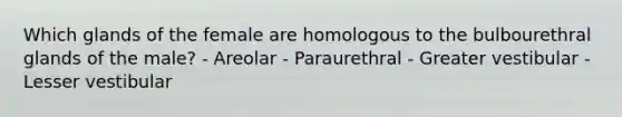 Which glands of the female are homologous to the bulbourethral glands of the male? - Areolar - Paraurethral - Greater vestibular - Lesser vestibular