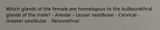 Which glands of the female are homologous to the bulbourethral glands of the male? - Areolar - Lesser vestibular - Cervical - Greater vestibular - Paraurethral