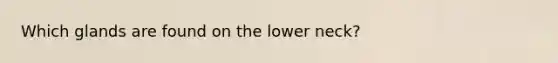 Which glands are found on the lower neck?