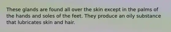 These glands are found all over the skin except in the palms of the hands and soles of the feet. They produce an oily substance that lubricates skin and hair.