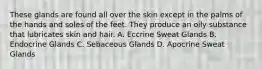 These glands are found all over the skin except in the palms of the hands and soles of the feet. They produce an oily substance that lubricates skin and hair. A. Eccrine Sweat Glands B. Endocrine Glands C. Sebaceous Glands D. Apocrine Sweat Glands