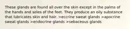 These glands are found all over the skin except in the palms of the hands and soles of the feet. They produce an oily substance that lubricates skin and hair. >eccrine sweat glands >apocrine sweat glands >endocrine glands >sebaceous glands