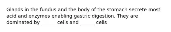 Glands in the fundus and the body of the stomach secrete most acid and enzymes enabling gastric digestion. They are dominated by ______ cells and ______ cells