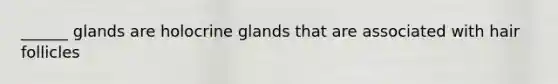 ______ glands are holocrine glands that are associated with hair follicles